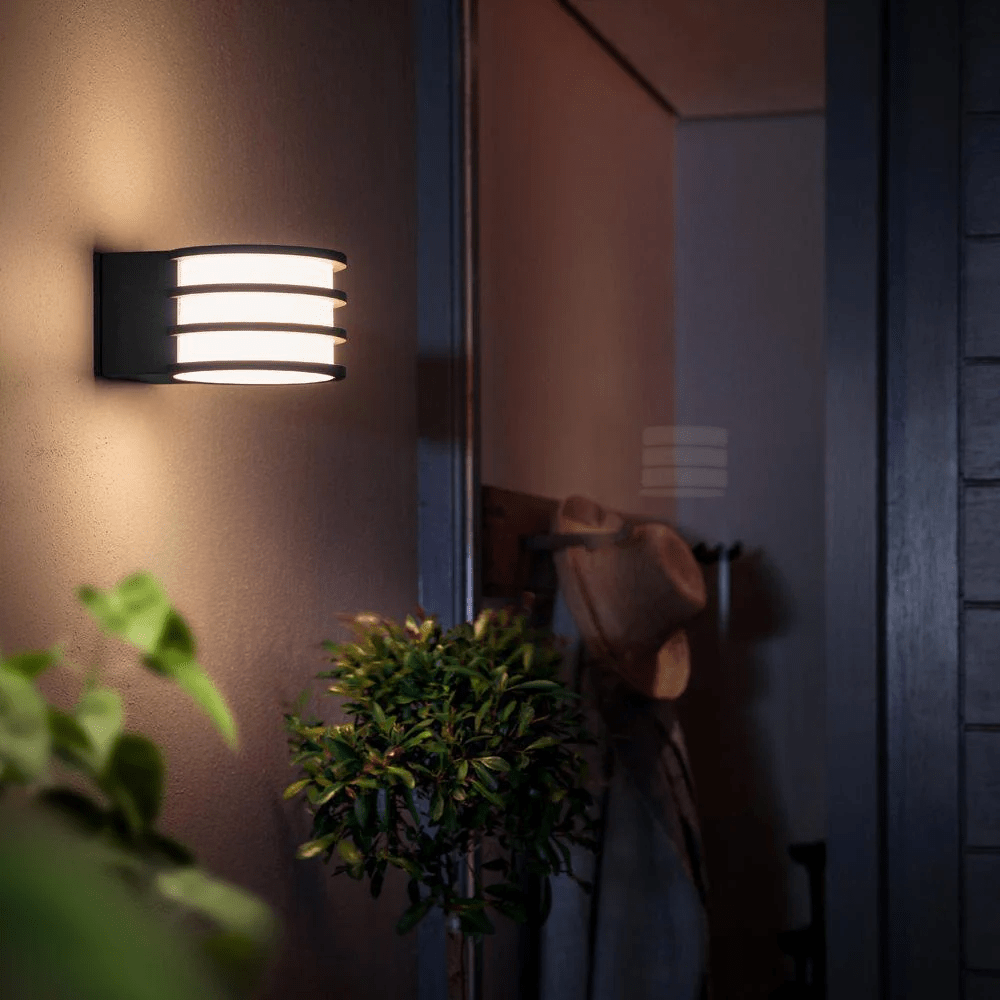 Wall Sconces - Super Arbor