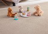 STAINMASTER Essentials Blue Diamonds II 12-ft Minimalist Textured Carpet Sample (Interior)