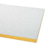 Armstrong Ceilings 48-in x 24-in Painted Nubby 12-Pack White Textured 15/16-in Drop Acoustic Panel Ceiling Tiles