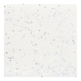 American Olean Bright Salt and Pepper Gloss Ceramic Bullnose Tile (6-in x 6-in)