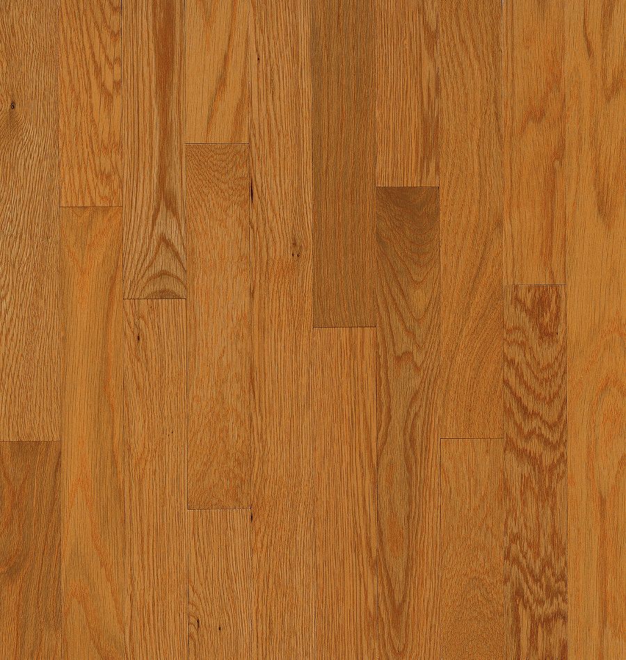 Bruce America's Best Choice Butterscotch Oak 3-1/4-in W x 3/4-in T x Smooth/Traditional Solid Hardwood Flooring (22-sq ft / Carton)