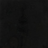 Satori Absolute Black 12-in x 12-in Polished Natural Stone Granite Floor and Wall Tile (1-sq. ft/ Piece)