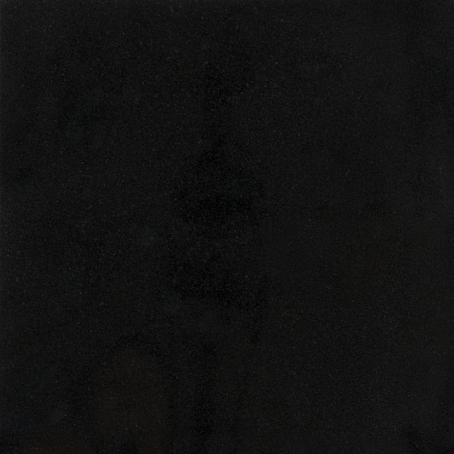 Satori Absolute Black 12-in x 12-in Polished Natural Stone Granite Floor and Wall Tile (1-sq. ft/ Piece)