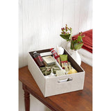 Style Selections 16-in x 12.75-in Plastic Multi-Use Insert Drawer Organizer