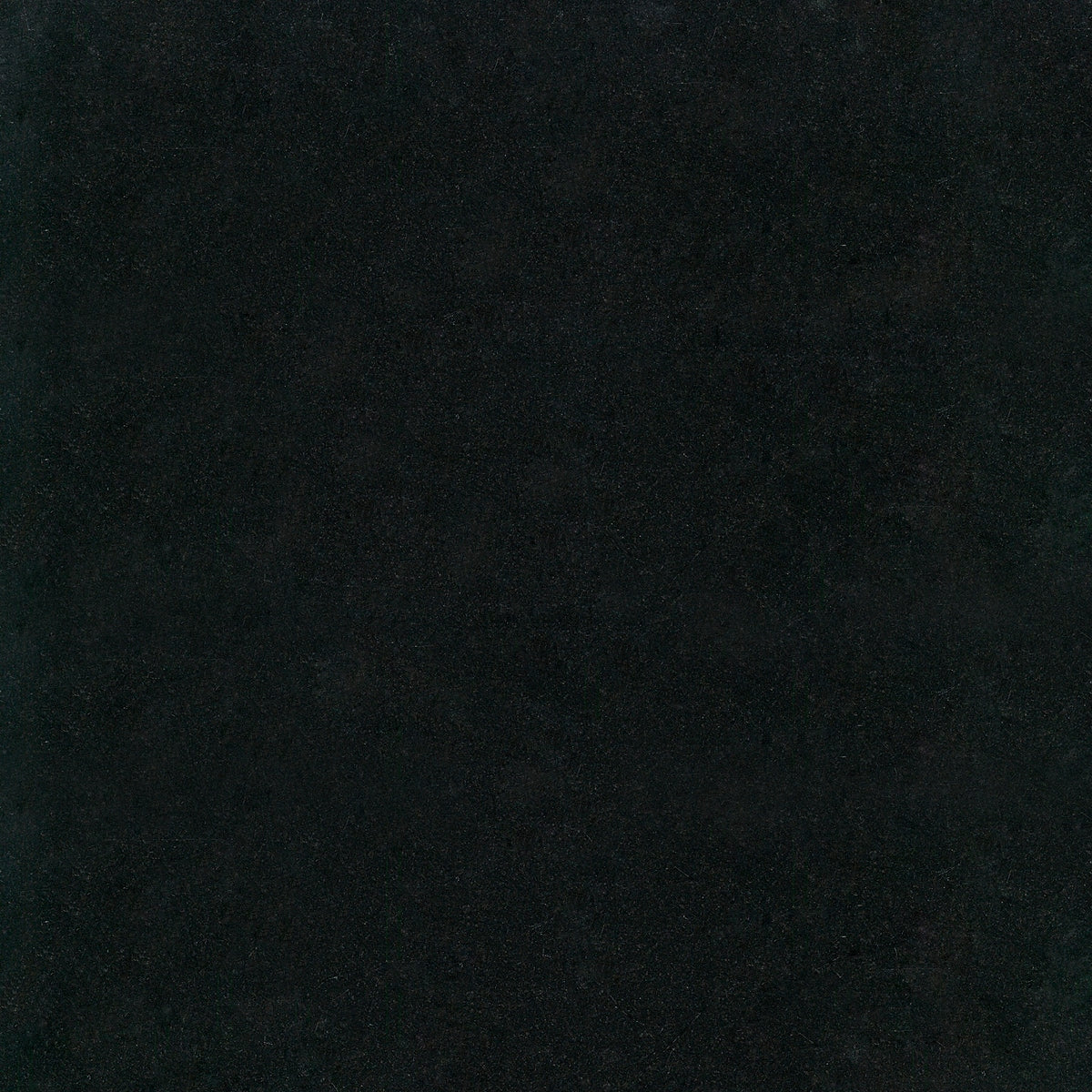Satori Absolute Black 12-in x 12-in Polished Natural Stone Granite Floor and Wall Tile (1-sq. ft/ Piece)
