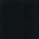 Satori Absolute Black 12-in x 12-in Polished Natural Stone Granite Floor and Wall Tile (1-sq. ft/ Piece)