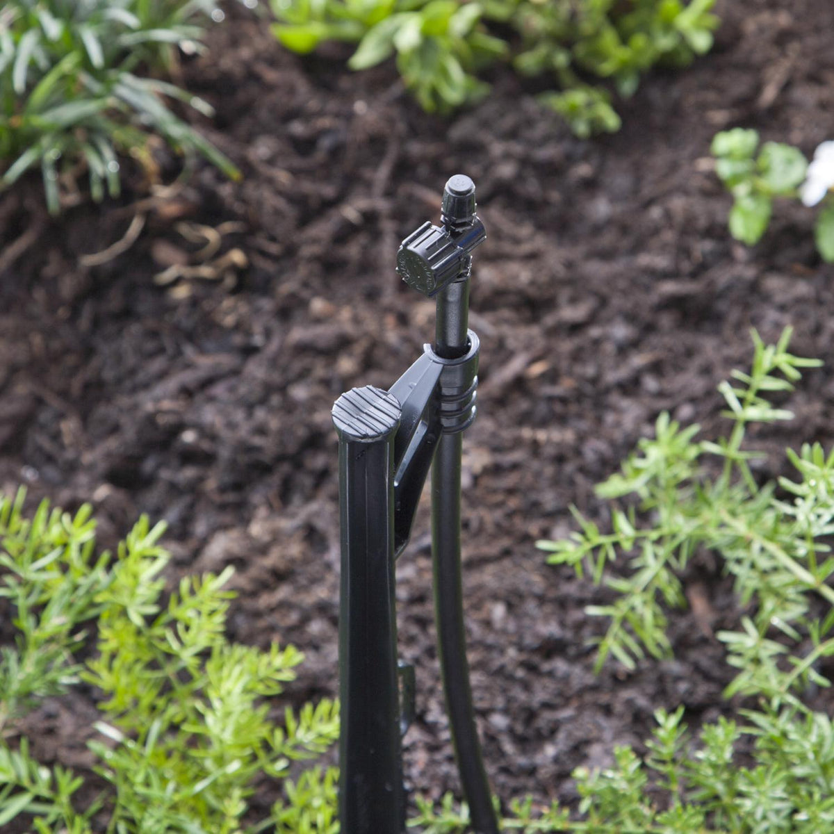 Raindrip Quarter-Circle Drip Irrigation Micro Spray 20 GPH