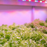 1 ft. 13.5-Watt Vertical Mount White Full Spectrum LED Non-Dimmable Indoor Linkable Plant Grow Light Strip, Daylight