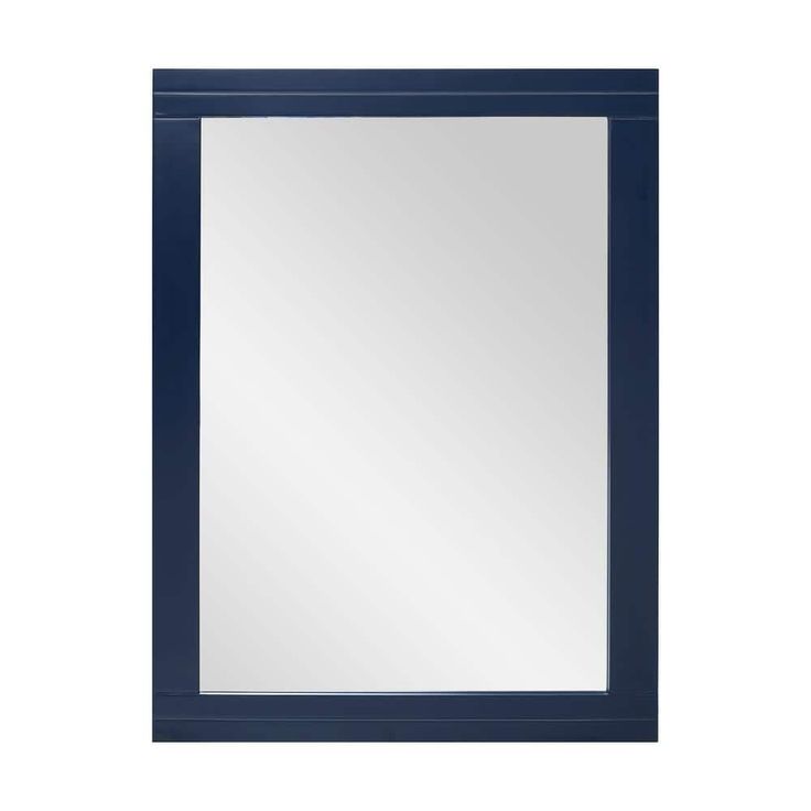 Home Decorators Collection Sturgess 24 in. W x 32 in. H Rectangular Medicine Cabinet with Mirror