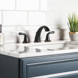 Project Source Chrome 2-handle Widespread WaterSense Bathroom Sink Faucet with Drain - Super Arbor