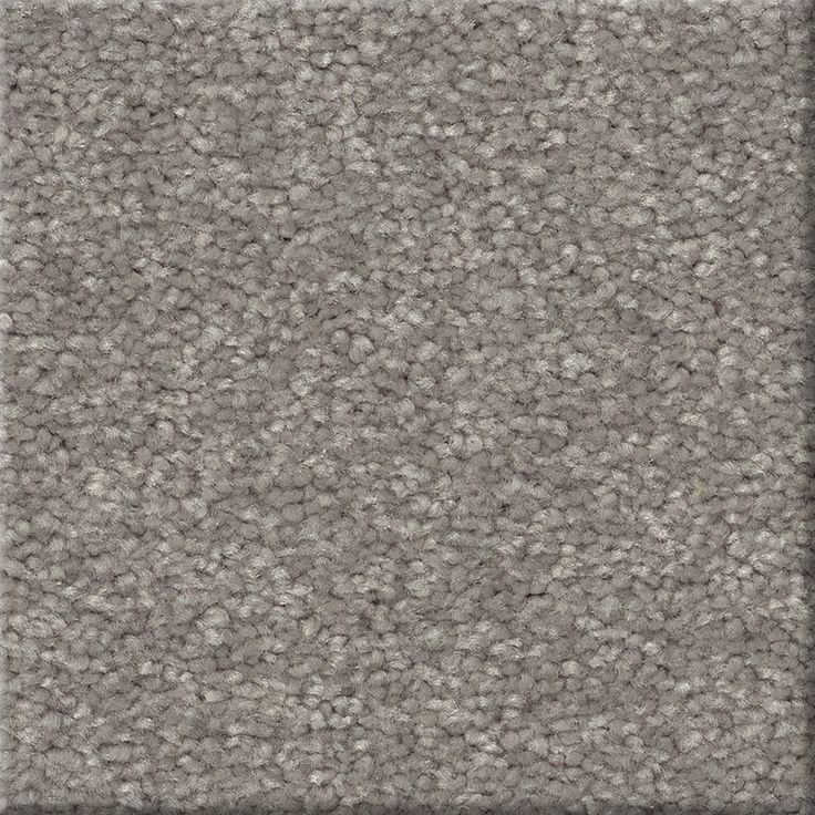 STAINMASTER Essentials Blue Diamonds I 12-ft Dusty Trail Textured Carpet Sample (Interior)
