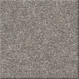 STAINMASTER Essentials Blue Diamonds I 12-ft Dusty Trail Textured Carpet Sample (Interior)