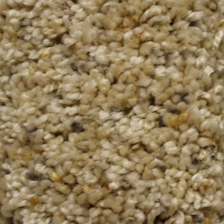 STAINMASTER Essentials Cadiz Key Role Textured Indoor Carpet — 12-ft Roll Width