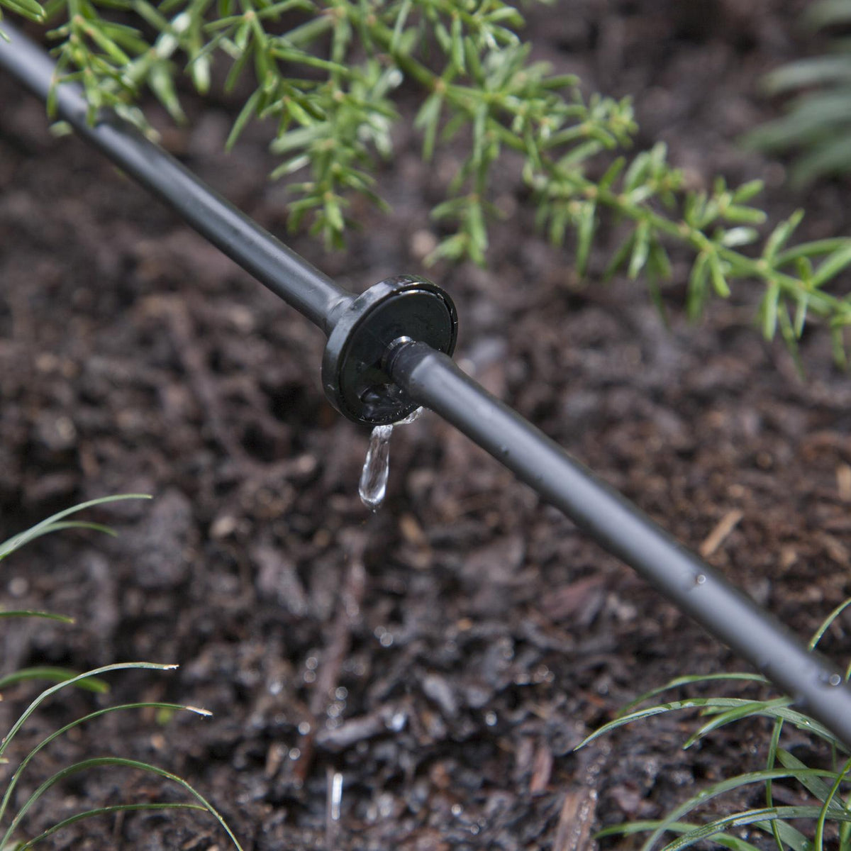 Raindrip Spot Drip Irrigation Dripper — 1 GPH
