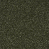 STAINMASTER Essentials Intuition II 15-ft Passion Vine Textured Indoor Carpet