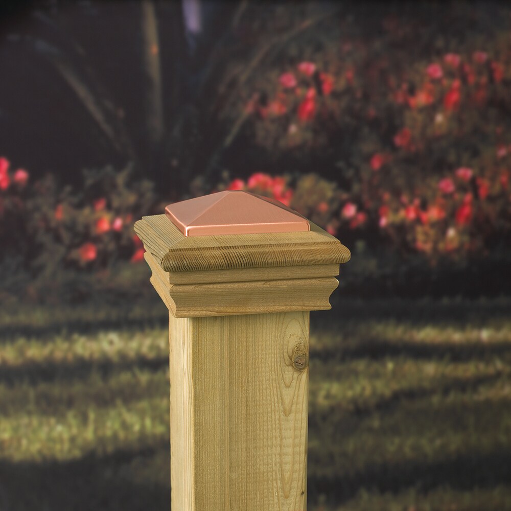 Deckorators 4-in x 4-in Newport High Top Wood Pine Deck Post Cap