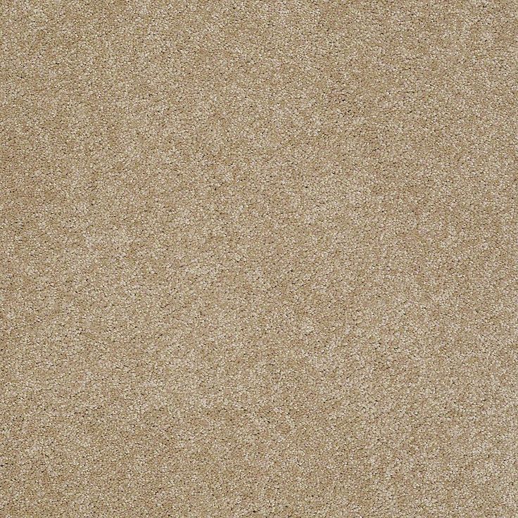 STAINMASTER PetProtect Baxter I Boxer Textured Carpet (Indoor)