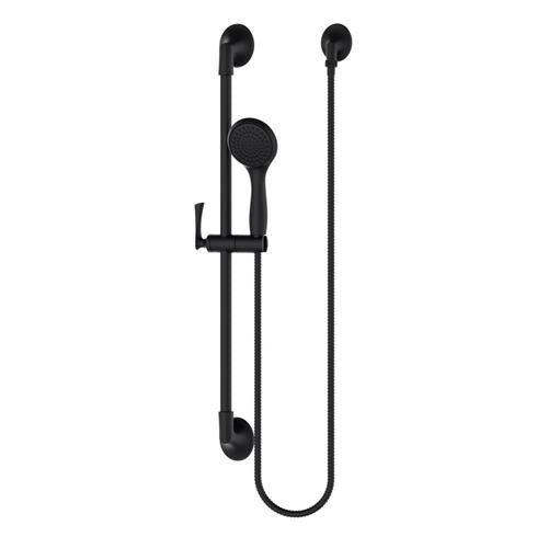 Pfister Rhen Brushed Gold 1-Spray Handheld Shower 1.8-GPM (6.8-LPM) - Super Arbor