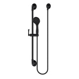 Pfister Rhen Brushed Gold 1-Spray Handheld Shower 1.8-GPM (6.8-LPM) - Super Arbor