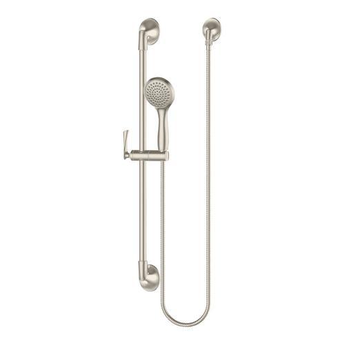 Pfister Rhen Brushed Gold 1-Spray Handheld Shower 1.8-GPM (6.8-LPM) - Super Arbor
