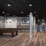 Genesis 2-ft x 2-ft Antique Black PVC Drop Ceiling Tile (1-Pack, 4-sq ft / Case)