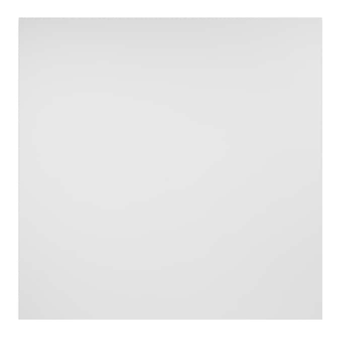 Genesis 2-ft x 2-ft Border Fill White PVC Drop Ceiling Tile (1-Pack, 4-sq ft / Case)