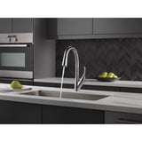 Esque Single-Handle Pull-Down Sprayer Kitchen Faucet with ShieldSpray Technology in Arctic Stainless - Super Arbor