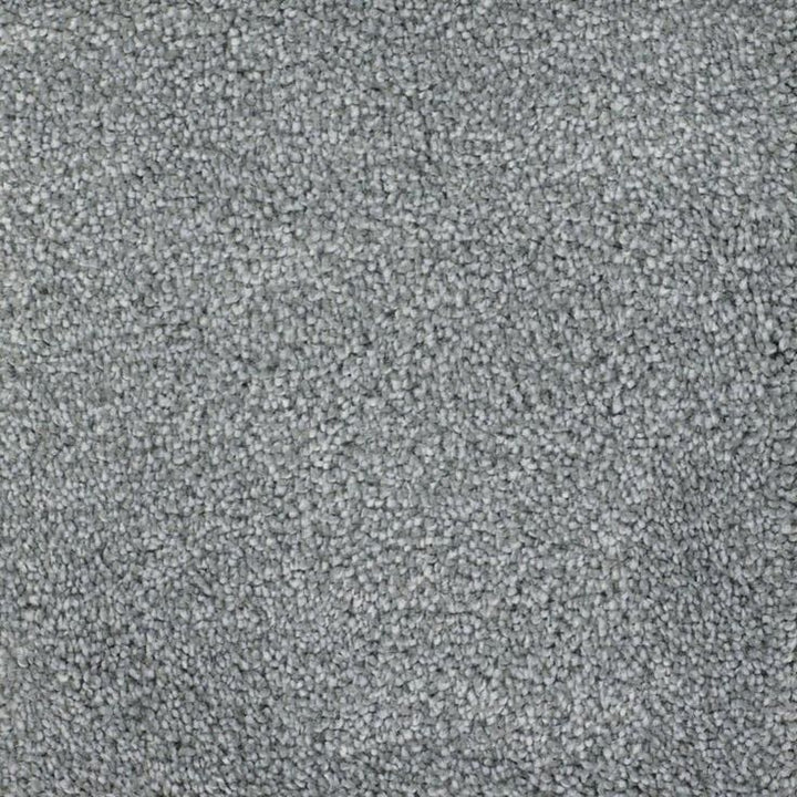 STAINMASTER Signature Briar Patch Meritage Textured Carpet Sample (Interior)