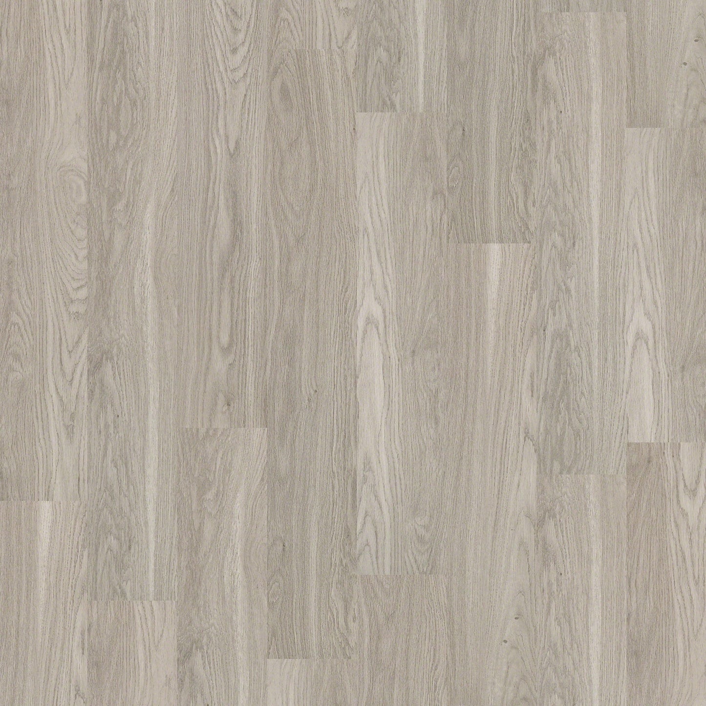 Shaw Triad Timberwolf Gray 12-mil x 7-in W x 48-in L Water Resistant Glue Down Luxury Vinyl Plank Flooring (34.98-sq ft/ Carton)