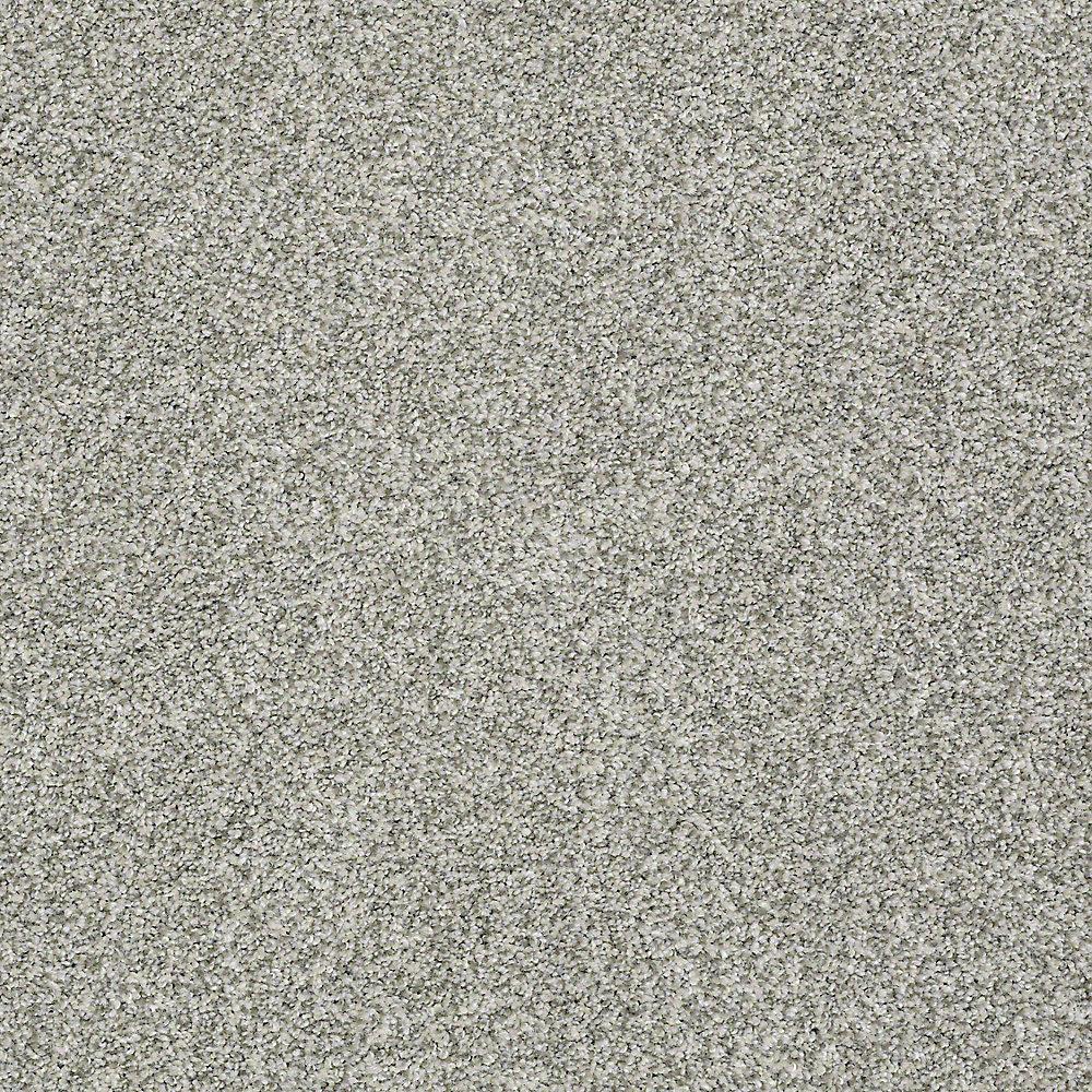 STAINMASTER PetProtect Baxter I Trixie Textured Carpet (Indoor), 12-ft Roll Width