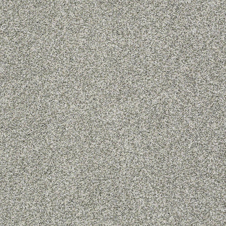 STAINMASTER PetProtect Baxter I Trixie Textured Carpet (Indoor), 12-ft Roll Width