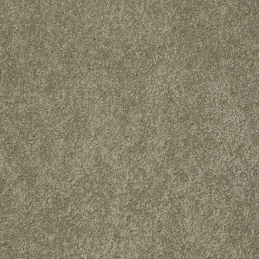 STAINMASTER PetProtect Baxter I Buddy Textured Indoor Carpet, 12-ft Roll Width