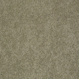 STAINMASTER PetProtect Baxter I Buddy Textured Indoor Carpet, 12-ft Roll Width