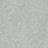 STAINMASTER PetProtect Baxter I Retriever Textured Indoor Carpet, 12-ft Roll Width