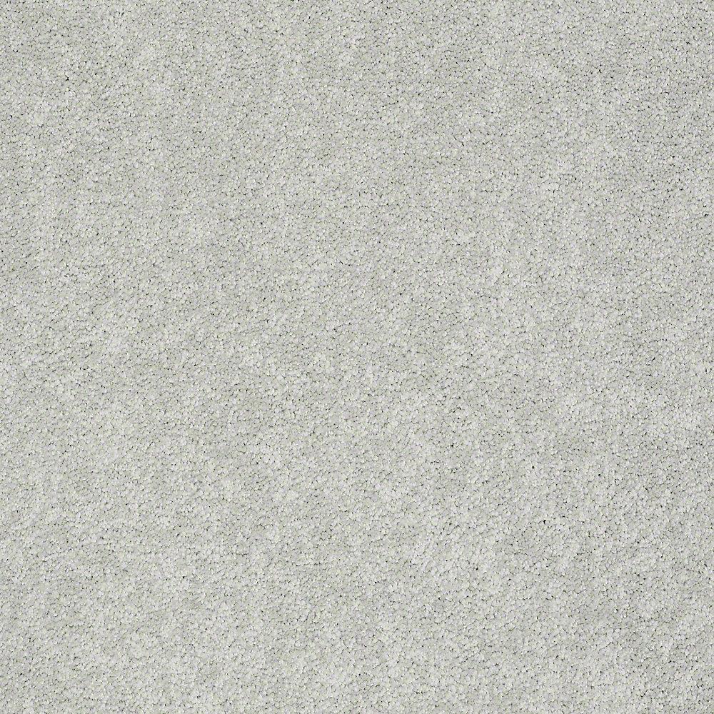 STAINMASTER PetProtect Baxter I Mac Textured Carpet (Indoor) — 12-ft Roll Width