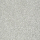 STAINMASTER PetProtect Baxter I Mac Textured Carpet (Indoor) — 12-ft Roll Width