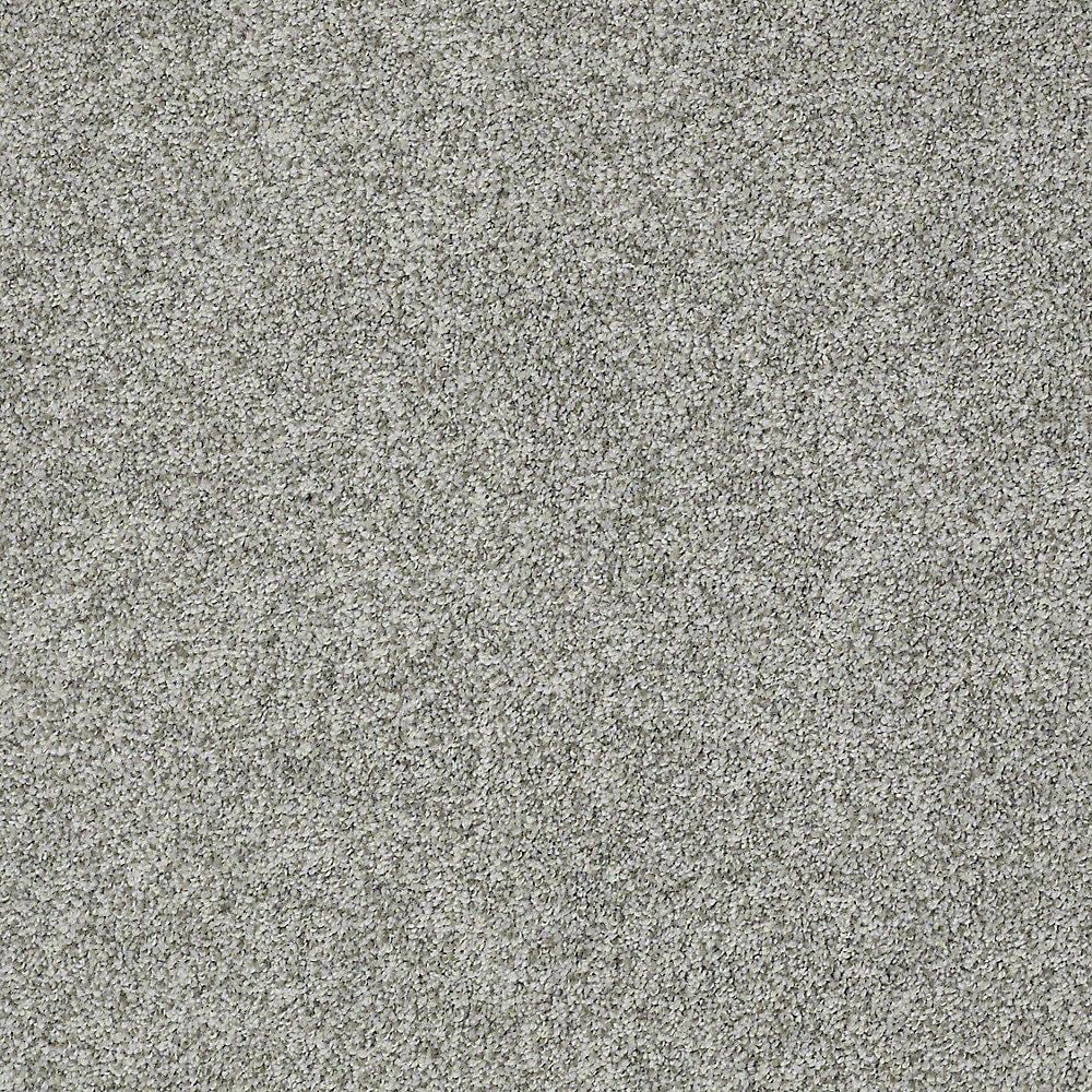 STAINMASTER PetProtect Baxter II Roscoe Textured Carpet (Indoor)