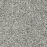 STAINMASTER PetProtect Baxter II Roscoe Textured Carpet (Indoor)