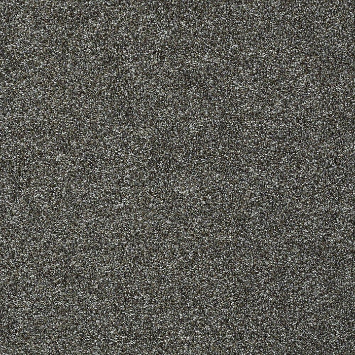 STAINMASTER PetProtect Baxter II Roll Over Textured Carpet Sample, 8-in x 8-in (Interior)