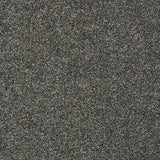 STAINMASTER PetProtect Baxter II Roll Over Textured Carpet (Indoor)