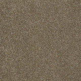 STAINMASTER PetProtect Baxter IV Dachshund Textured Carpet (Indoor, 12-ft Roll Width)