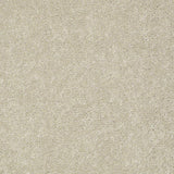 STAINMASTER PetProtect Baxter I Sadie Textured Indoor Carpet, 12-ft Roll Width