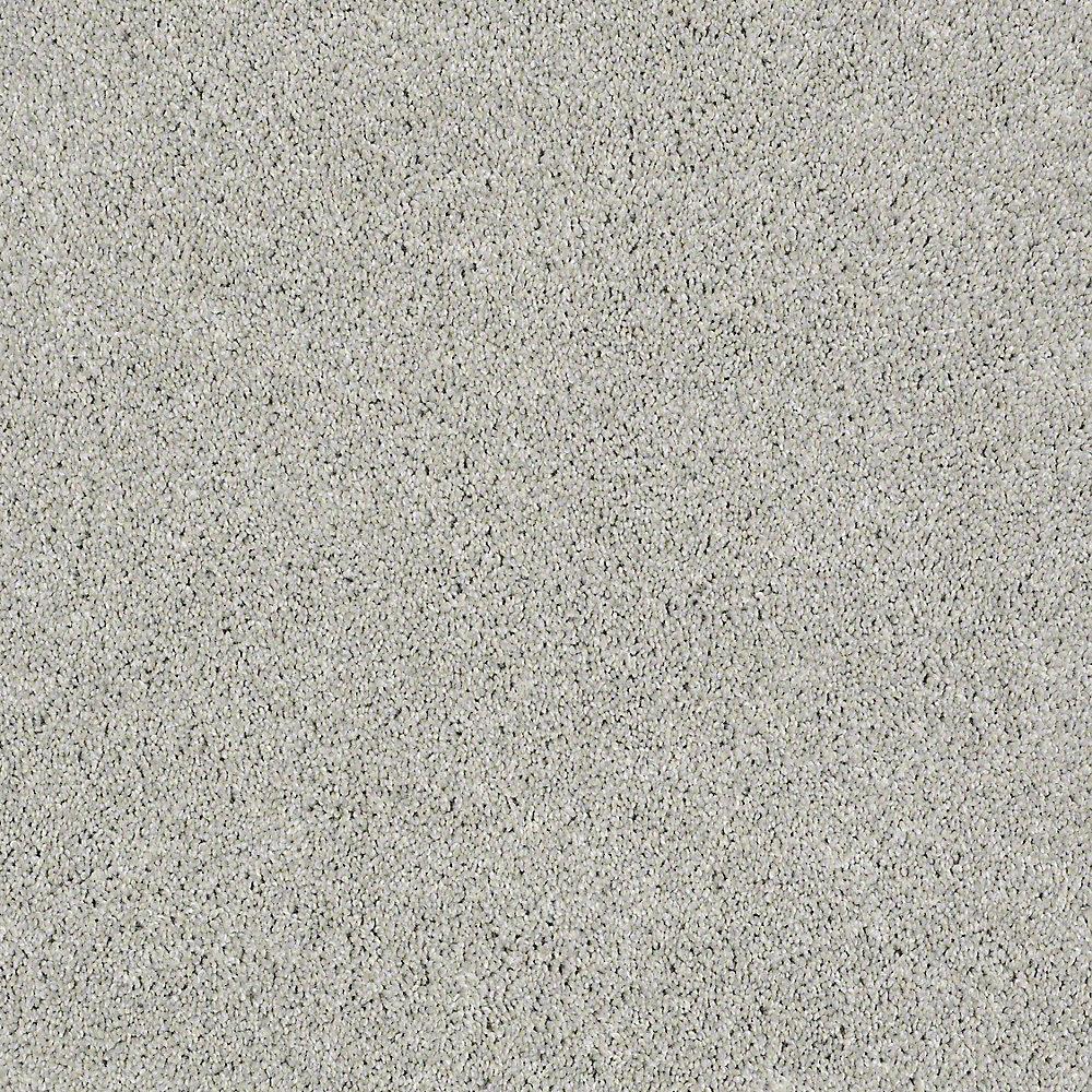 STAINMASTER PetProtect Baxter II Gizmo Textured Indoor Carpet, 12-ft Roll Width