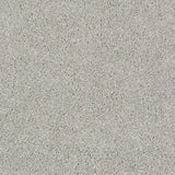 STAINMASTER PetProtect Baxter I Gizmo Textured Indoor Carpet, 12-ft Roll Width