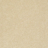 STAINMASTER PetProtect Baxter I Spaniel Textured Indoor Carpet, 12-ft Width