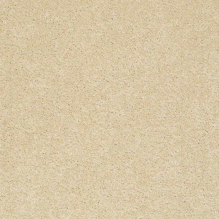 STAINMASTER PetProtect Baxter I Spaniel Textured Indoor Carpet, 12-ft Width