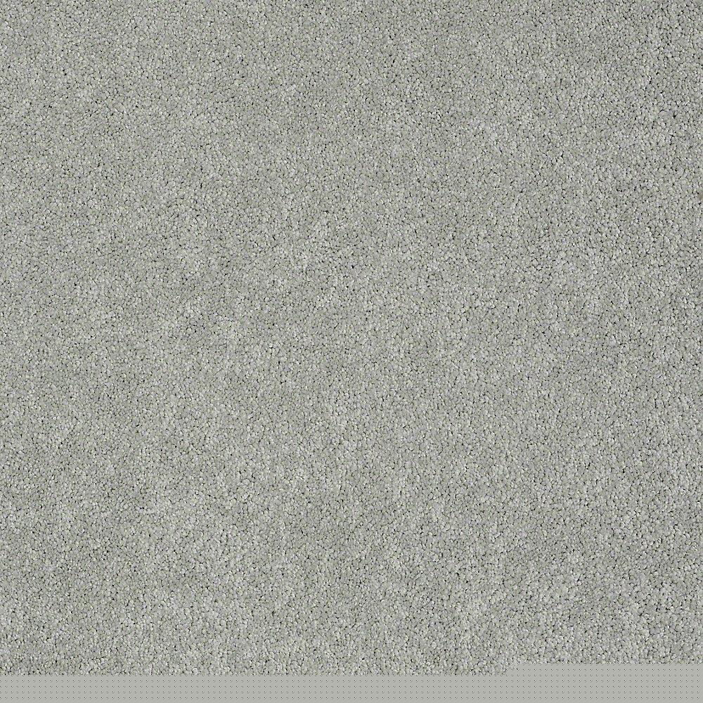 STAINMASTER PetProtect Baxter I Bobo Textured Indoor Carpet, 12-ft Roll Width