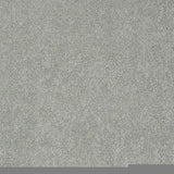 STAINMASTER PetProtect Baxter I Bobo Textured Indoor Carpet, 12-ft Roll Width