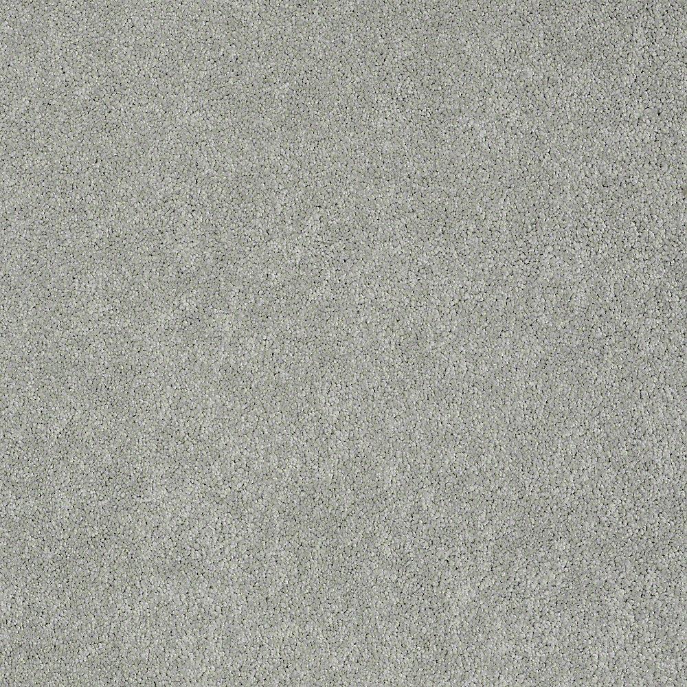 STAINMASTER PetProtect Baxter II Bobo Textured Carpet (Indoor)
