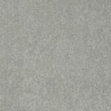 STAINMASTER PetProtect Baxter II Bobo Textured Carpet (Indoor)